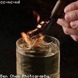 Snail Bar